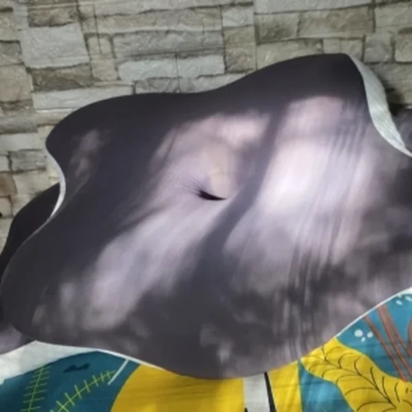 Sonnalta cuscino a farfalla, foto di Maarten D., acquirente verificato